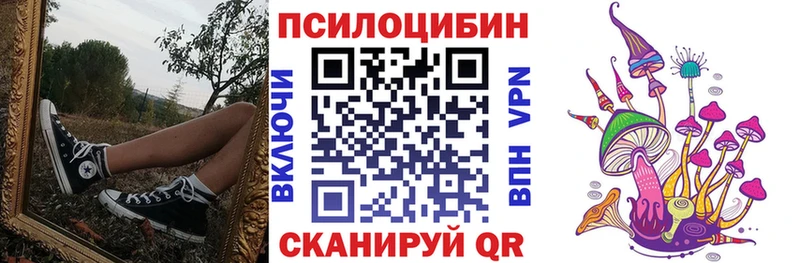 Галлюциногенные грибы Psilocybe  mega сайт  Вилюйск 