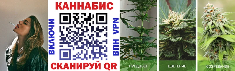 Шишки марихуана OG Kush  купить наркотик  Вилюйск 